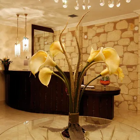 Hotel Diamond River &